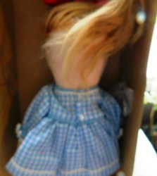 DOLLY DINGLE BLUE CHECK BK